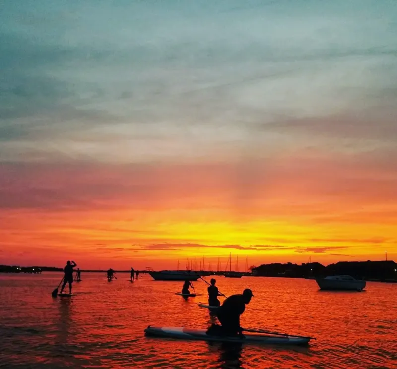 Charleston SUP Safaris: Tour · Folly Beach